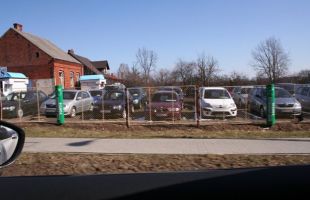 Polski kierowca w liczbach