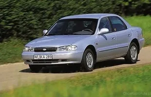 Zdjęcie 9