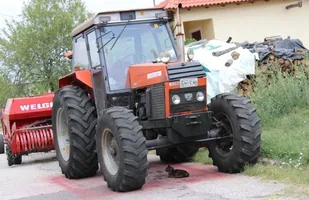 Zdjęcie 21