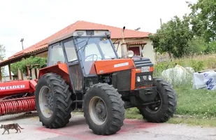 Zdjęcie 17