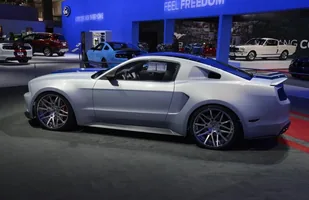Zdjęcie 26