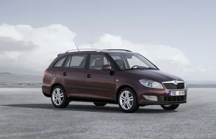 Używane: Skoda Fabia II — zdjęcie 8