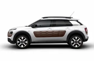 Citroen C4 Cactus. Nowość! — zdjęcie 9
