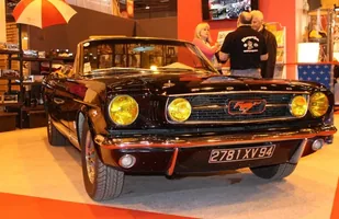 Zdjęcie 36