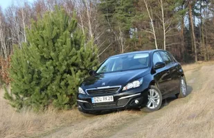Długi dystans: Peugeot 308 — zdjęcie 2
