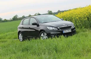 Długi dystans: 5 tys. km w 308 — zdjęcie 1