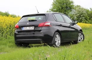 Długi dystans: 5 tys. km w 308 — zdjęcie 2