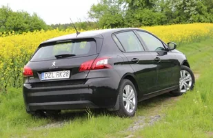Długi dystans: 5 tys. km w 308 — zdjęcie 3