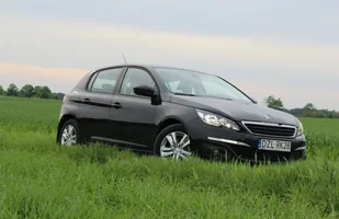 Długi dystans: 5 tys. km w 308 — zdjęcie 4