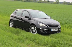 Długi dystans: 5 tys. km w 308 — zdjęcie 5
