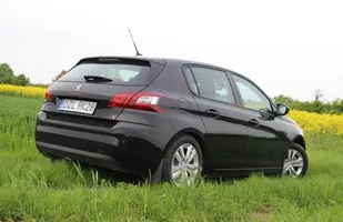 Długi dystans: 5 tys. km w 308 — zdjęcie 9