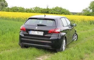 Długi dystans: 5 tys. km w 308 — zdjęcie 11