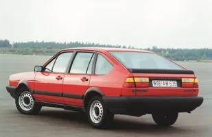Zdjęcie 10