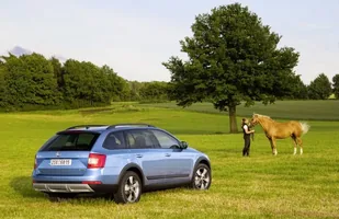 Skoda Octavia Scout — zdjęcie 10