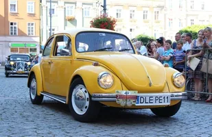 Zdjęcie 25