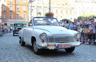Zdjęcie 31