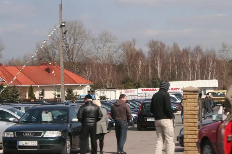 Polski kierowca w liczbach