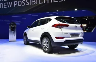 Zdjęcie 20