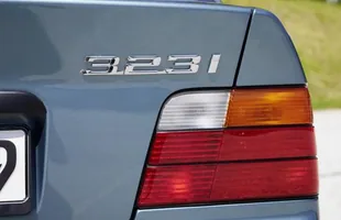 Zdjęcie 22