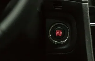 Zdjęcie 8