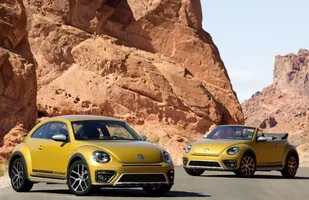 Volkswagen Beetle Dune — zdjęcie 2