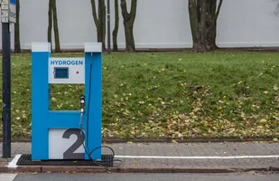 Zdjęcie 30