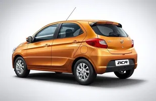 Tata Zica. Trafi do Europy? — zdjęcie 2