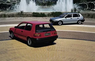 Zdjęcie 16