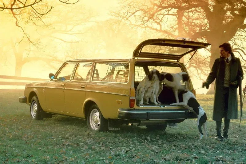 Volvo 245 DL