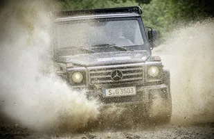 Mercedes G 350 d Professional — zdjęcie 10