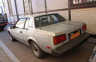 Zdjęcie 21