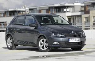 Skoda zdecydowanym liderem polskiego rynku — zdjęcie 3