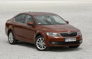 Skoda zdecydowanym liderem polskiego rynku — zdjęcie 1