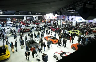 Zdjęcie 15