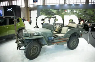 Zdjęcie 23