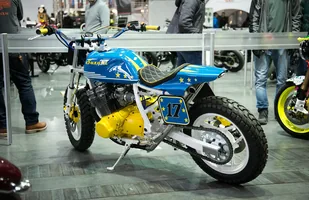 Zdjęcie 29