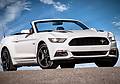 Ford Mustang światowym rekordzistą! Ford Mustang światowym rekordzistą!