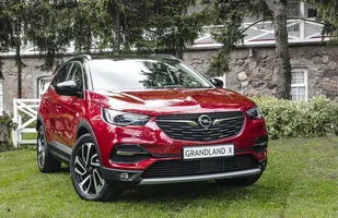 Opel Grandland X. Pierwsze ceny — zdjęcie 2