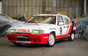 65 Citroenów trafiłio pod młotek. Hitem XMy!