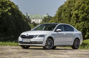 Skoda Fabia i Octavia bestsellerami — zdjęcie 1
