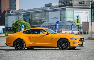 10. Ogólnopolski Zlot Mustangów — zdjęcie 2