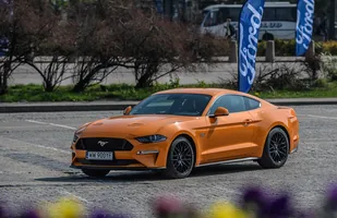 10. Ogólnopolski Zlot Mustangów — zdjęcie 4