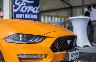 10. Ogólnopolski Zlot Mustangów — zdjęcie 5
