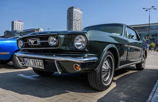 10. Ogólnopolski Zlot Mustangów — zdjęcie 9
