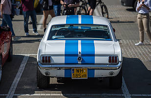 10. Ogólnopolski Zlot Mustangów