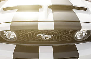 10. Ogólnopolski Zlot Mustangów