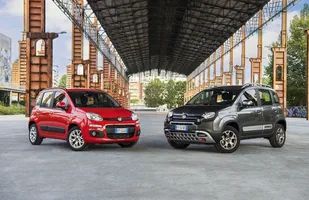 Fiat nie planuje ekspansji. Raczej wegetację — zdjęcie 2