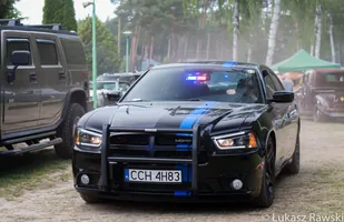 Zdjęcie 21