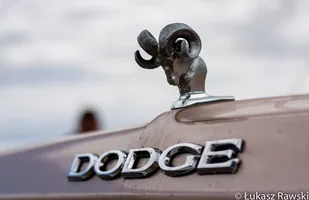 Zdjęcie 28