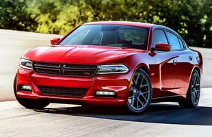Mustang sportowcem nr 1 na świecie — zdjęcie 2